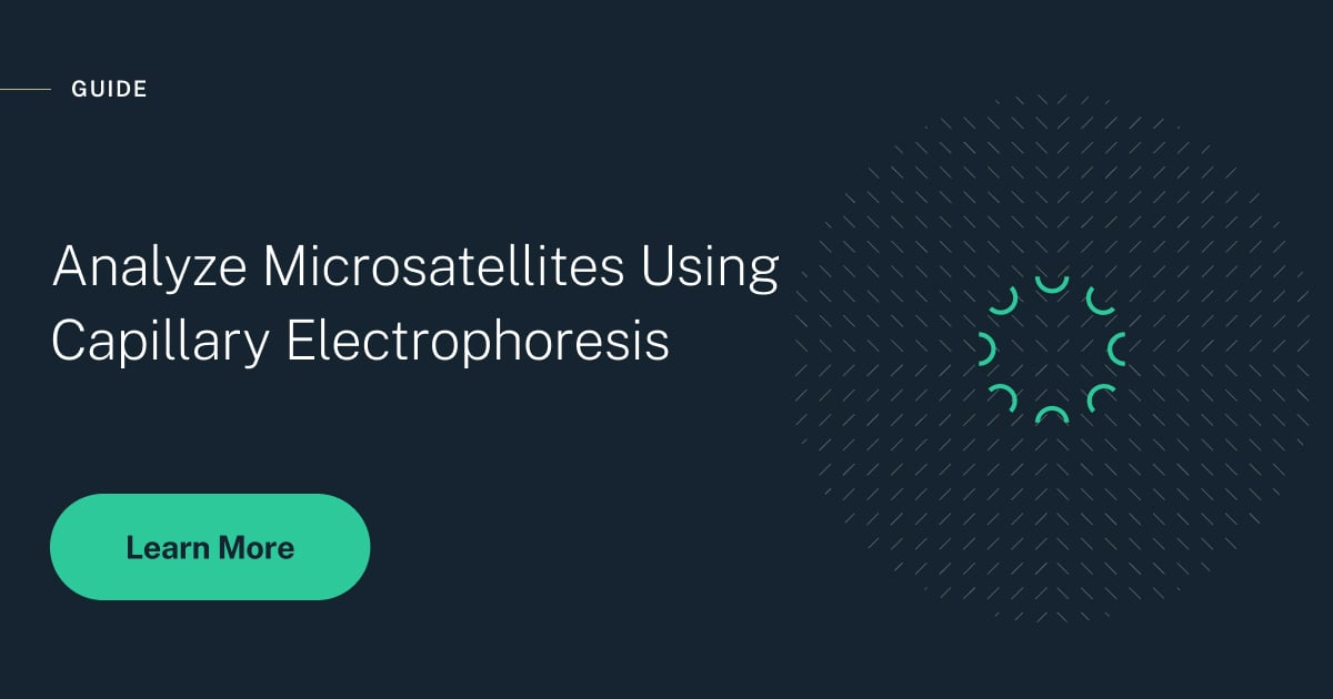 How to Analyze Microsatellites Using Capillary Electrophoresis thumbnail image
